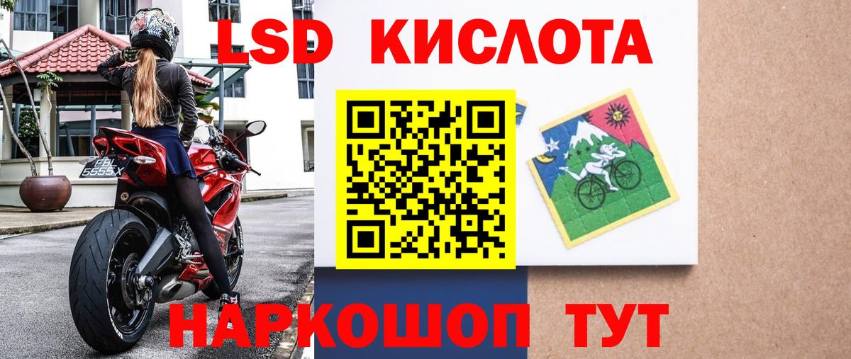 Бошки Шишки Новый Уренгой