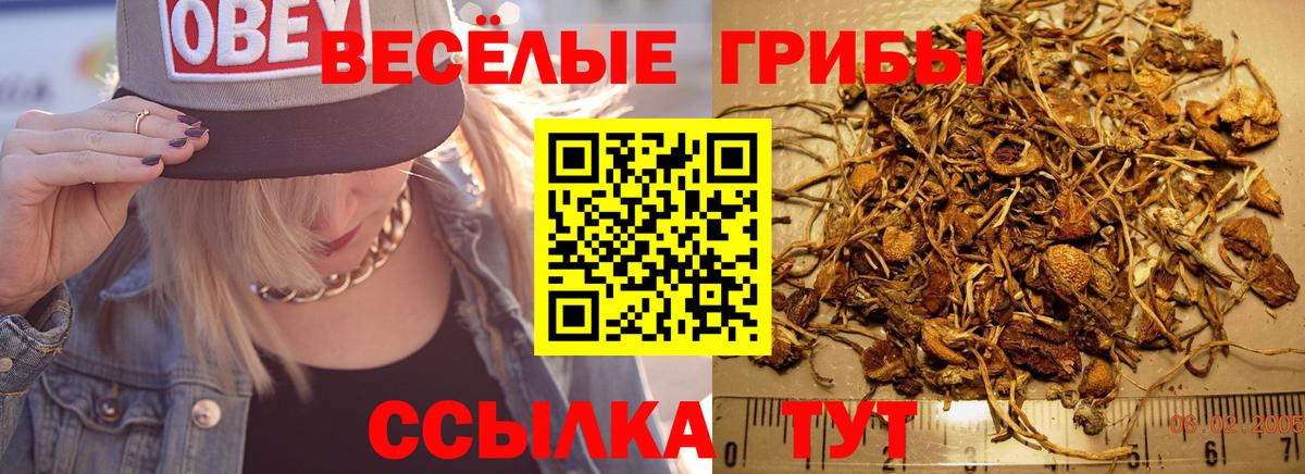 Псилоцибиновые грибы GOLDEN TEACHER  Вход с VPN  Новый Уренгой 